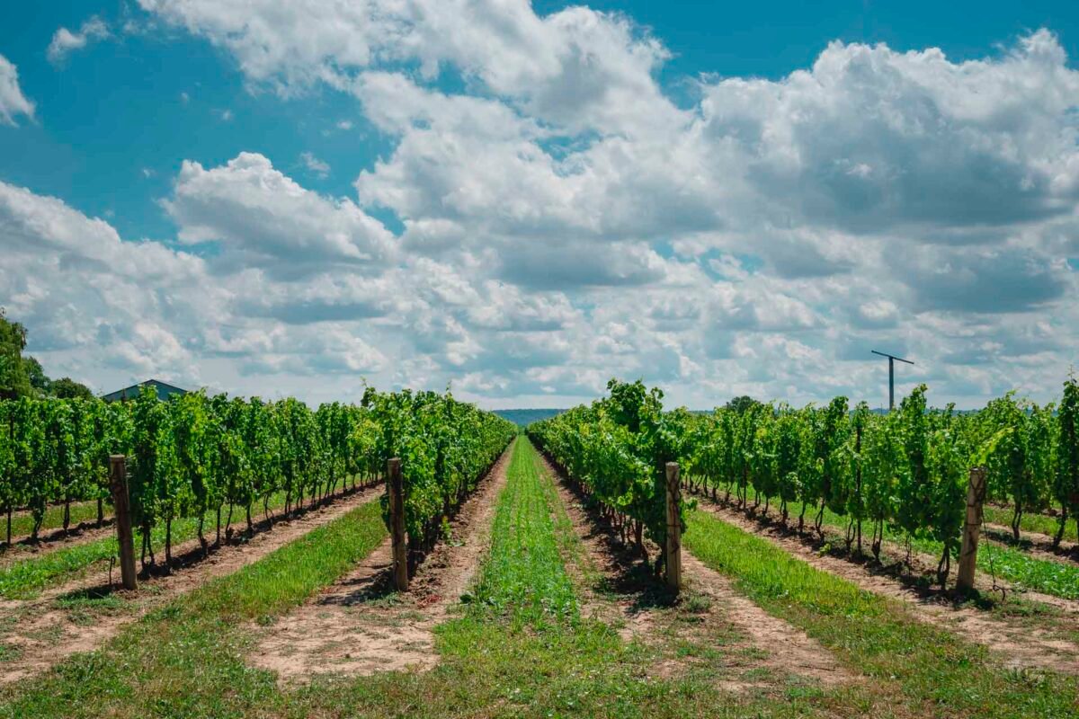 The Ultimate Guide To Prince Edward County, Ontario